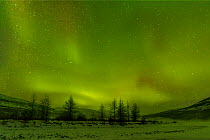 Northern lights over Putoransky State Nature Reserve, Putorana Plateau, Siberia, Russia