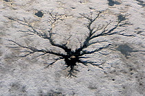 Aerial view melted ice around geothermal spring, Putoransky State Nature Reserve, Putorana Plateau, Siberia, Russia