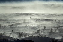 Misty landscape in Putoransky State Nature Reserve, Putorana Plateau, Siberia, Russia. May 2014.