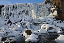 Oxararfoss waterfall in winter, Almannagja Fissure, Thingvellir  southern Iceland, February 2015