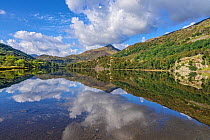 Reflections in Llyn Gwynant, Glaslyn valley looking north east, Snowdonia National Park, North Wales, UK, September.