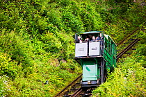Cliff railway linking Lynmouth with Lynton on the north Devon coast. The railway is water powered, with a tank underneath the top carriage filling with water, till it is heavy enough to fall by gravit...