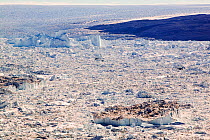 Icebergs from the Jacobshavn glacier or Sermeq Kujalleq, Greenland, July 2008.