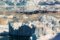 Icebergs calved from Jacobshavn glacier or Sermeq Kujalleq, Greenland, July 2008.