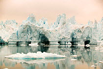 Icebergs from the Jacobshavn glacier or Sermeq Kujalleq, Greenland. July 2008.
