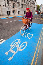Cyclist on  the new CS7 Cycle Superhighway that goes from Southwark bridge to Tooting. London England, UK, October 2010.