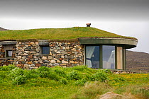Modern green roofed house at Scarista on the isle of Harris, Outer Hebrides, Scotland, UK. June 2015.