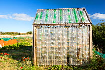 Greenhouse made from waste plastic drinks bottles in the community garden at Mount Pleasant Ecological Park, Porthtowan, Cornwall, UK. September 2013.