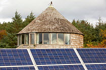Green house powered by wind and solar power n remote off grid community. Scoraig, Scotland, October 2013.