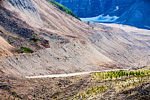 Moraine from the rapidly receding Victoria Glacier above Lake Louise in the Canadian Rocky Mountains, Canada. August 2012.