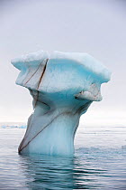 Iceberg floadting in sea,  from a glacier on Nordauslandet in northern Svalbard, Norway.
