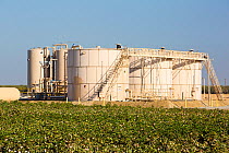 Fracking site  next to a farmers Cotton crop, near Wasco in California's Central Valley, USA, September 2014.