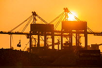 Cranes unloading coal  at sunset.  Tata steel works,  Ijmuiden, Netherlands, May 2013.