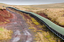Conveyor belt that takes coal from the Glentaggart open cast coal mine to a road head for onward transport by road in Lanarkshire, Scotland, UK. August 2009.