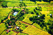 Aerial view of deforested forest slopes replaced by farmland for subsistence agriculture in Malawi. March 2015.
