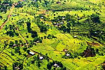 Aerial view of deforested forest slopes replaced by farmland for subsistence agriculture in Malawi. March 2015.