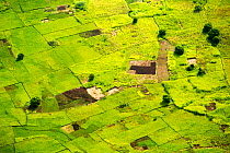Looking down from the air onto rice paddies and Maize crops in the Shire Valley, Malawi, Africa.