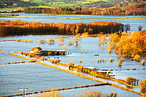 Flooded farms in the Lyth Valley, during Storm Desmond. Cumbria, England, UK, 10th December 2015.