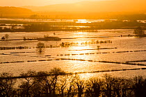 Sunrise over flooded farms in the Lyth Valley, during Storm Desmond. Cumbria, England, UK, 10th December 2015.