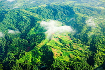 Aerial view of rainforest and mountains on Fiji. March 2007.