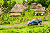 Navala village in the Fijian highlands, the only village left on the island still composed entirely of traditional Bure houses, Fiji, March 2007.