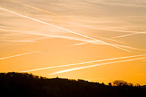 Vapour trails / contrails  from airplanes in dawn sky near Ambleside, Cumbria, UK, January.
