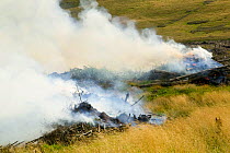 Burning brush wood from a forestry plantation near Egremont, Cumbria, England, UK, August.