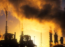 Petrochemical plant at sunrise, Teeside, UK.