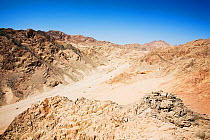 Mountains of the Sinai desert near Dahab, Egypt. October 2008.