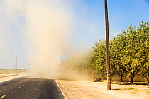 Almond (Prunus amygdalus) groves with dust storm during the 2011-17 California drought. Almonds take large amounts of water to grow and rely on irrigation to grow. Wasco, Central Valley, California, U...
