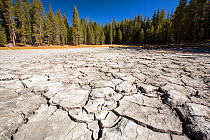 Drought impacted lake in Yosemite National Park, California, USA. October 2014.