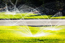 Sprinklers watering lawns during the worst drought in living memory, Fresno, California, USA. October 2014.