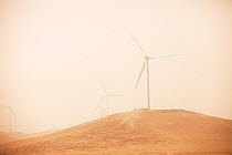 Wind farm seen through haze of a dust storm. Inner Mongolia, China, March 2009.
