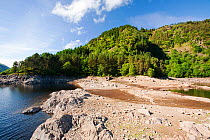 Thirlmere reservoir during severe drought, Lake District, England, UK, July 2010.