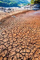 Mud cracks at Thirlmere reservoir in the Lake District during severe drought, England, UK. July 2010.