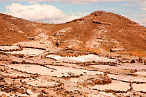 Field terraces above a Berber village in the Anti Atlas mountains of Morocco, North Africa. April 2012. In recent years, rainfall totals have reduced by around 75% as a result of climate change.