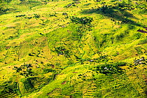 Aerial view of land deforested for agriculture, Malawi. March 2015.