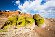 Smashed concrete sea defences at Ulrome, Yorkshire, England, UK. August 2013.