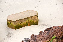Second World War pill box on the beach, this was originally on the cliffs above but fell due to coastline erosion. Aldbrough,  Yorkshire, England, UK. August 2013.