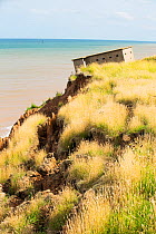 Second World War lookout post leaning over eroding cliff near Aldbrough, Yorkshire, England, UK. August 2013.