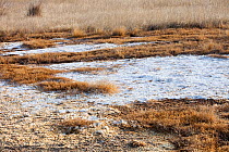 Hong Hai Zai  lake completely dried up during severe drought, Inner Mongolia, China. March 2009.
