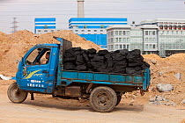 Lorries hauling coal to a coal fired power plant, Dongsheng, Inner Mongolia, China. March 2009. In 2008 China officially became the worlds largest emitter of greenhouse gases.