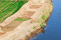 Aerial view of wheat crop irrigation during severe drought, Hangang, Northern China. March 2009.