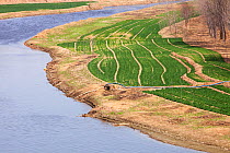 Aerial view of wheat crop irrigation during severe drought, Hangang, Northern China. March 2009.