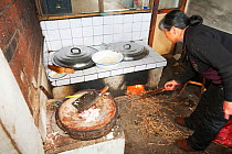 Traditional kitchen stove in a peasant farmers house in northern China. March 2009. The main fuel for the stove is dried maize stalks which is renewable and has a zero carbon footprint. The stove is a...