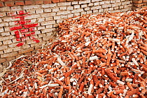 Maize husks that are used as a renewable fuel to burn on household stoves, northern China, March 2009.