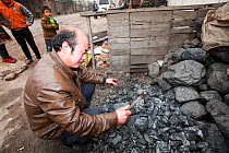 Man breaking up coal for domestic use. China, March 2009. In 2008 China officially became the worlds largest emitter of greenhouse gases.