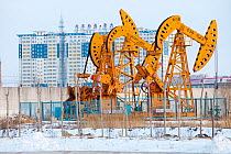 Nodding donkey oil pumps pumping oil up from the Daqing oil field, Northern China. March 2009.
