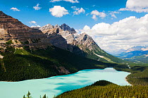 Peyto Lake, Banff National Park, Canadian Rockies, Alberta, August 2012.