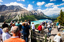 Tourists overlooking the Peyto Lake, Banff National Park, Canadian Rockies, Alberta, August 2012.